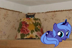 Size: 897x603 | Tagged: safe, princess luna, cat, g4, creepy, filly, ponies in real life, soon, woona