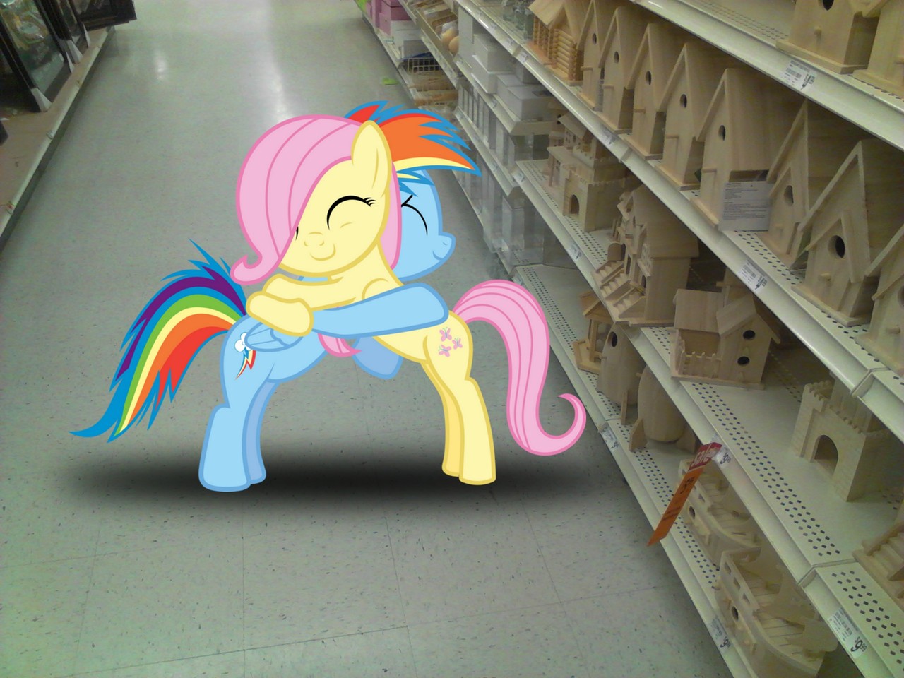 Featured image of post Filly Real Life Rainbow Dash