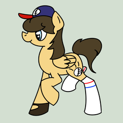 Size: 600x600 | Tagged: safe, artist:wightshadoo, oc, oc only, pegasus, pony, baseball, solo