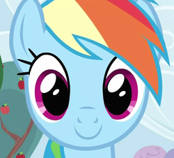 Size: 680x615 | Tagged: safe, rainbow dash, g4, face, female, solo