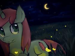 Size: 640x480 | Tagged: safe, artist:outcast010, oc, oc only, firefly (insect), glowing, night, solo