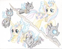 Size: 2373x1882 | Tagged: safe, artist:elisto, fluttershy, changeling, changeling queen, g4, changelingified, traditional art