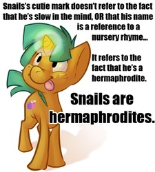 Size: 414x460 | Tagged: safe, snails, g4, headcanon, image macro, male, solo, text