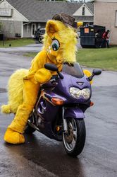 Size: 1276x1920 | Tagged: safe, artist:judhudson, applejack, g4, fursuit, irl, motorcycle, photo