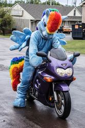 Size: 1276x1920 | Tagged: safe, artist:judhudson, rainbow dash, g4, fursuit, irl, motorcycle, photo