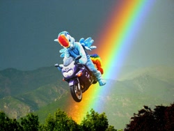 Size: 1000x750 | Tagged: safe, artist:judhudson, rainbow dash, g4, fursuit, irl, motorcycle, photo, rainbow