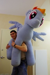 Size: 497x750 | Tagged: artist needed, safe, rainbow dash, human, g4, brony, irl, irl human, photo, plushie