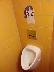 Size: 960x1280 | Tagged: safe, rarity, g4, irl, photo, urinal, wat