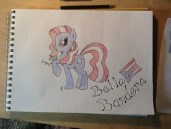 Size: 960x720 | Tagged: artist needed, safe, pony, flag, nation ponies, photo, ponified, puerto rico, sketchbook, solo, traditional art