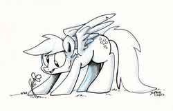 Size: 890x573 | Tagged: safe, artist:spainfischer, derpy hooves, pegasus, pony, g4, female, flower, mare, solo, traditional art