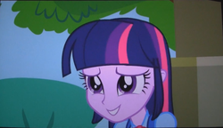 Size: 1427x821 | Tagged: safe, screencap, twilight sparkle, equestria girls, g4, my little pony equestria girls, female, solo