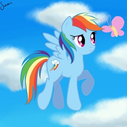 Size: 1000x1000 | Tagged: safe, artist:vird-gi, rainbow dash, butterfly, g4, female, flying, solo