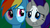 Size: 1263x712 | Tagged: safe, screencap, rainbow dash, rarity, dragon quest, g4