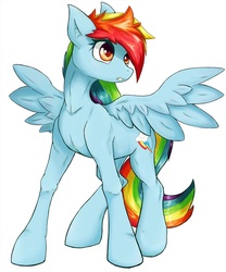 Size: 1280x1536 | Tagged: safe, artist:zokkili, rainbow dash, g4, female, solo