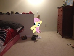 Size: 3264x2448 | Tagged: safe, artist:boltblazer, fluttershy, g4, irl, ponies in real life, solo