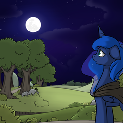 Size: 1000x1000 | Tagged: safe, artist:theparagon, princess luna, hunted luna, g4, colored pupils, female, moon, solo, stars