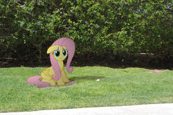 Size: 3872x2592 | Tagged: safe, artist:utterlyludicrous, fluttershy, g4, bush, female, irl, outdoors, photo, ponies in real life, shadow, solo, vector