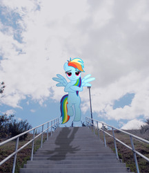 Size: 2592x2994 | Tagged: safe, artist:utterlyludicrous, rainbow dash, g4, bedroom eyes, irl, photo, ponies in real life, railroad, shadow, sky, solo, vector, walkway