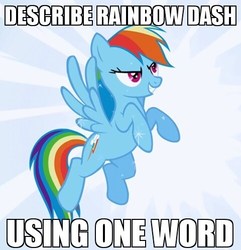 Size: 480x498 | Tagged: safe, rainbow dash, pegasus, pony, g4, caption, female, image macro, mare, solo, sparkles