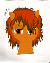 Size: 786x996 | Tagged: safe, artist:autumn, oc, oc only, oc:autumn, head, looking at you, portrait, solo