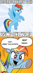 Size: 332x725 | Tagged: safe, rainbow dash, pegasus, pony, g4, best pony, exploitable meme, female, mare, meme, narcissism, two words meme