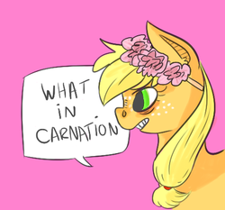 Size: 400x373 | Tagged: safe, artist:catricide, applejack, g4, carnation, female, floral head wreath, flower, pun, solo, what in tarnation