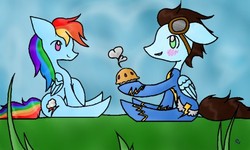 Size: 512x307 | Tagged: safe, artist:eeveelution.com, rainbow dash, soarin', g4, 3ds, female, grass, hilarious in hindsight, hoof hold, male, pie, ship:soarindash, shipping, sitting, straight, that pony sure does love pies