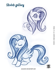 Size: 2550x3300 | Tagged: safe, artist:celaoxxx, fluttershy, g4, female, sketch, solo