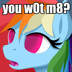 Size: 499x500 | Tagged: safe, rainbow dash, g4, blind dash, female, image macro, solo, u wot m8