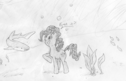 Size: 2235x1450 | Tagged: safe, artist:onsaud, pinkie pie, fish, shark, g4, female, sketch, solo, underwater