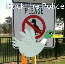 Size: 500x494 | Tagged: safe, bird, duck, mallard, flying, fuck the police, grass, irl, male, op, sign, solo, tree