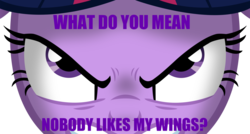 Size: 1600x859 | Tagged: safe, artist:overmare, twilight sparkle, alicorn, pony, g4, alicorn drama, angry, drama, female, image macro, mare, solo, twilight sparkle (alicorn)