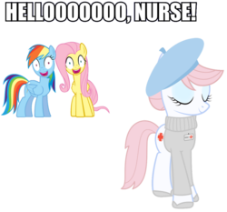 Size: 900x837 | Tagged: safe, fluttershy, nurse redheart, rainbow dash, g4, may the best pet win, my little pony: friendship is magic, animaniacs, faic, helloooooo nurse, reference