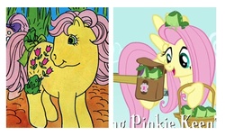 Size: 588x354 | Tagged: safe, edit, edited screencap, screencap, fluttershy, posey, earth pony, frog, pegasus, pony, feeling pinkie keen, g1, g4, comparison, cropped, female, mare, saddle bag