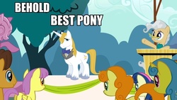 Size: 960x540 | Tagged: safe, edit, edited screencap, screencap, caramel, carrot top, golden harvest, lemon hearts, mayor mare, prince blueblood, g4, the last roundup, behold, best pony, blatant lies, image macro, meme