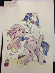 Size: 1280x1707 | Tagged: safe, artist:mi-eau, princess cadance, shining armor, pony, g4, bipedal, dancing, flower, flower in mouth, japan expo, mouth hold, photo, rose, sparkles, traditional art, unshorn fetlocks, watercolor painting