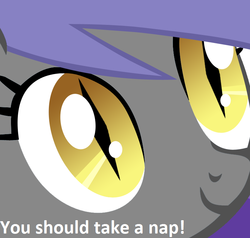 Size: 772x736 | Tagged: safe, artist:equestria-prevails, artist:zee66, oc, oc only, oc:midnight blossom, bat pony, pony, g4, close-up, image macro, nap, solo