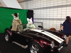 Size: 1280x960 | Tagged: safe, doctor whooves, rarity, time turner, human, g4, anthrocon, car, fursuit, irl, irl human, photo, pose, shelby, shelby cobra