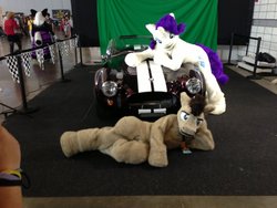 Size: 1280x960 | Tagged: safe, doctor whooves, rarity, time turner, human, g4, anthrocon, car, fursuit, irl, irl human, photo, pose, shelby, shelby cobra