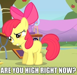 Size: 555x537 | Tagged: safe, edit, edited screencap, screencap, apple bloom, earth pony, pony, g4, the show stoppers, cropped, drugs, female, high, image macro, solo