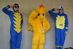 Size: 1280x853 | Tagged: safe, spitfire, human, g4, cosplay, fursuit, irl, irl human, photo, wonderbolts