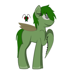 Size: 835x921 | Tagged: safe, artist:icedragonqueen22, oc, oc only, earth pony, mantis, pony, solo