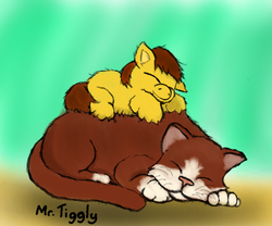 Size: 616x512 | Tagged: safe, artist:mr tiggly the wiggly walnut, cat, fluffy pony, fluffy pony foal, hugbox, sleeping