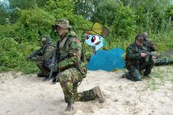 Size: 500x332 | Tagged: safe, artist:snakeman1992, rainbow dash, g4, bush, ponies in real life, sand, soldier, vector
