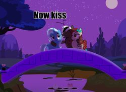 Size: 8000x5840 | Tagged: safe, artist:spectty, trixie, oc, g4, absurd resolution, bridge, canon x oc, now kiss, shipper on deck, shipping