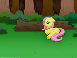 Size: 2000x1500 | Tagged: safe, artist:megacreomon, fluttershy, g4, alone, female, forest, lying, sad, solo