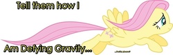 Size: 900x287 | Tagged: safe, edit, fluttershy, g4, defying gravity, female, flying, lyrics, quote, simple background, solo, text, vector, white background, wicked