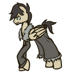Size: 900x900 | Tagged: safe, artist:inlucidreverie, oc, oc only, pegasus, pony, beard, clothes, simple background, solo, transparent background