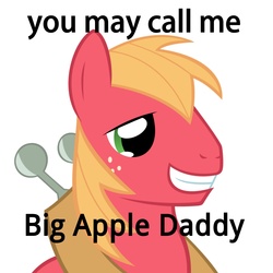 Size: 5000x5000 | Tagged: safe, big macintosh, g4, absurd resolution, male, smiling, solo, text