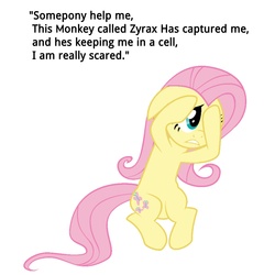 Size: 5000x5000 | Tagged: safe, fluttershy, g4, absurd resolution, bronybait, female, flutterbuse, monkeydzyrax, scared, solo, text